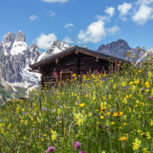 Ferienwohnung Bergblick in Filzmoos